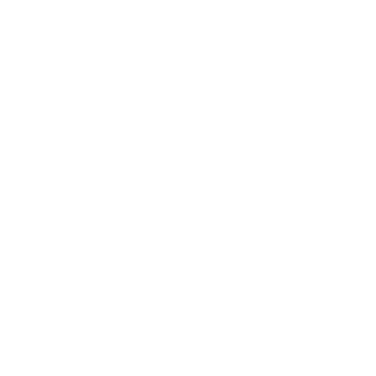 The Alter Logo